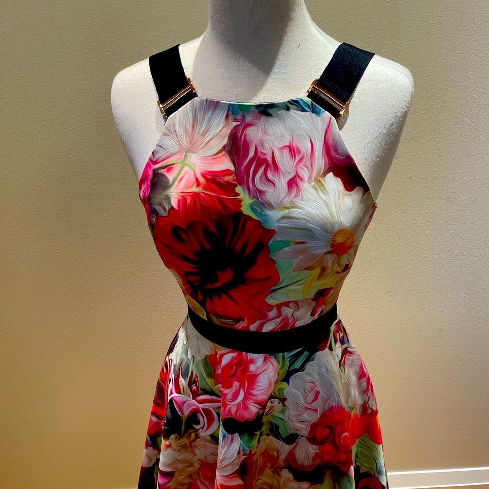 Ted Baker floral print dress Size 1